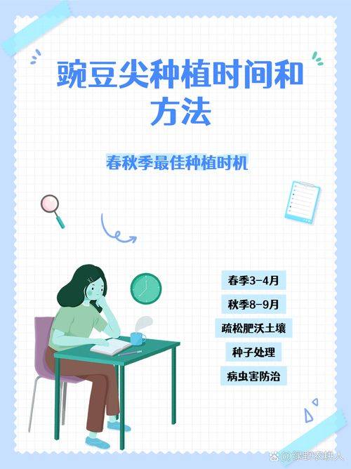 Home farming methods for pea seedlings