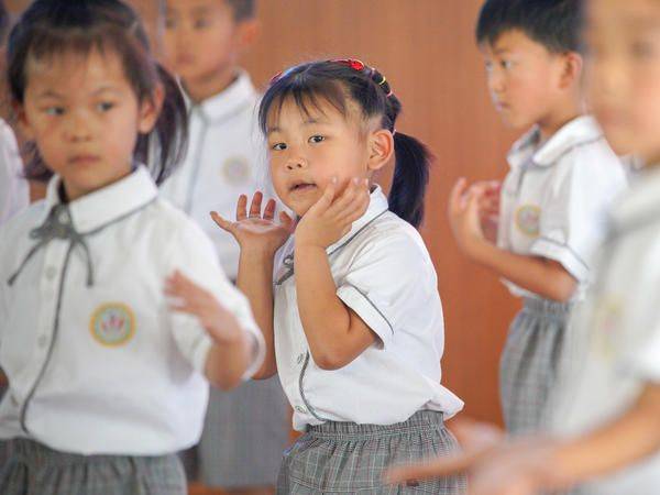 Plantation techniques for flamingo