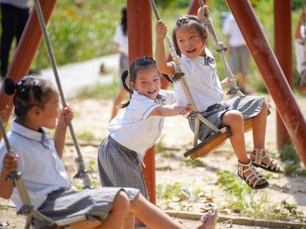 Plantation techniques for flamingo