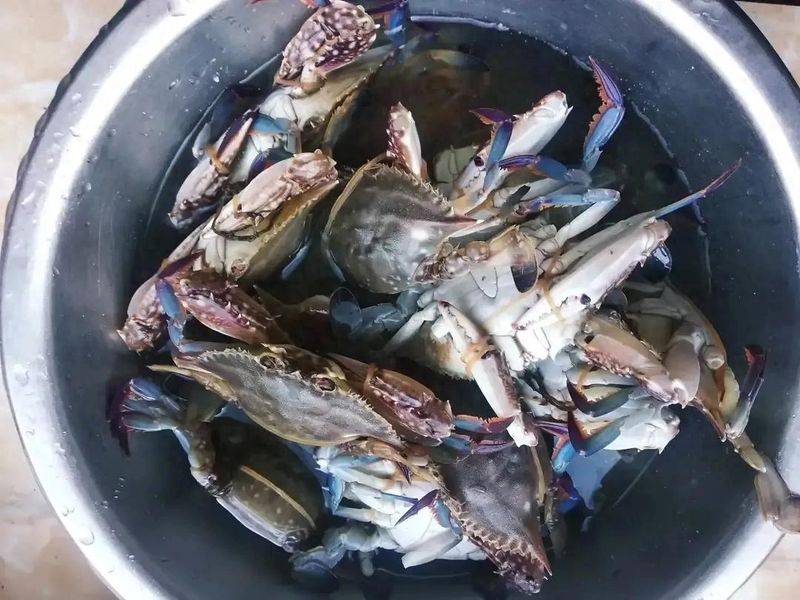 Is it expensive to have a box with crabs