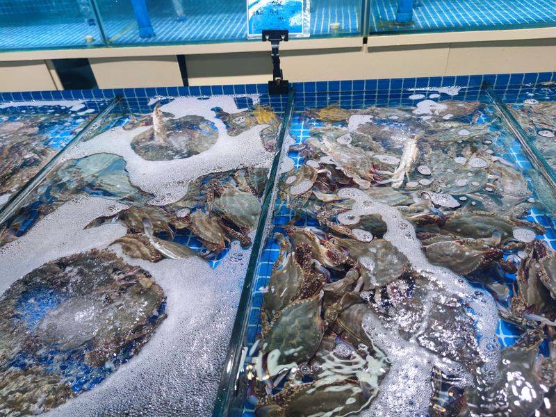 Is it expensive to have a box with crabs