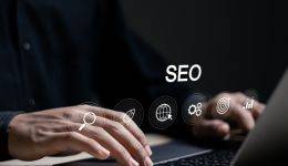 Seo optimized curriculum