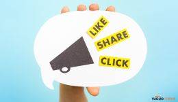 Seo optimized curriculum