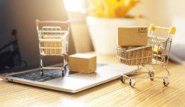 Seo optimized curriculum