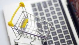 Seo optimized curriculum