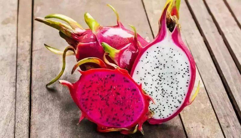 Plantation techniques for flamingo