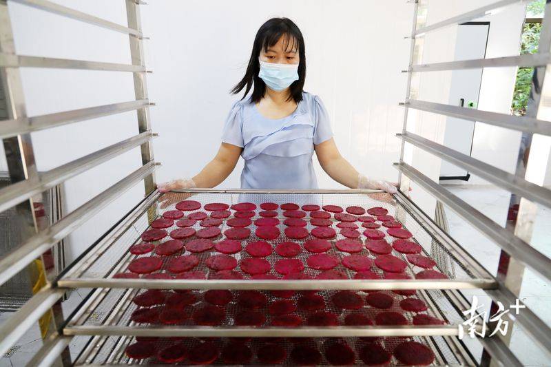 Plantation techniques for flamingo