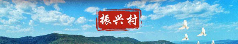 Rice cultivation techniques