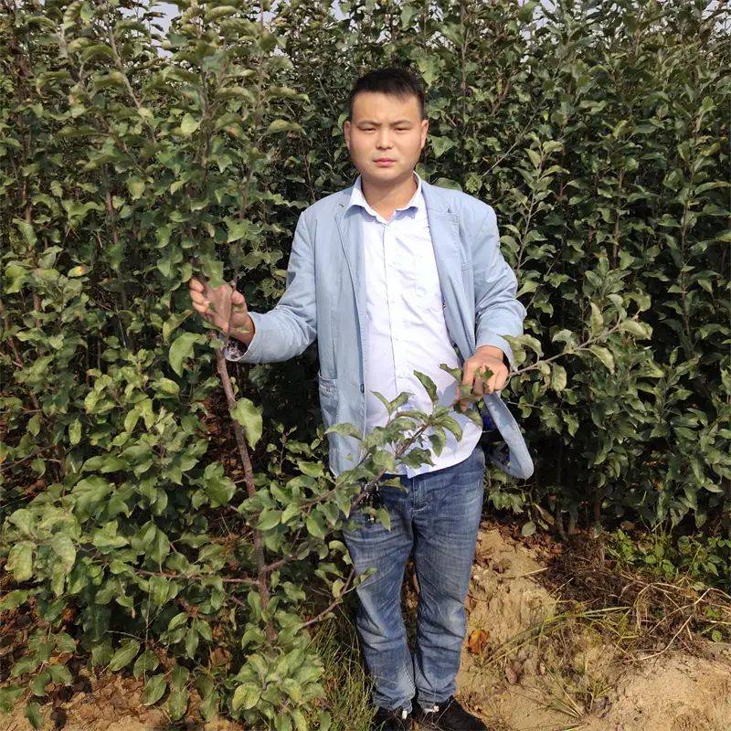 2026 new varieties of fruit trees