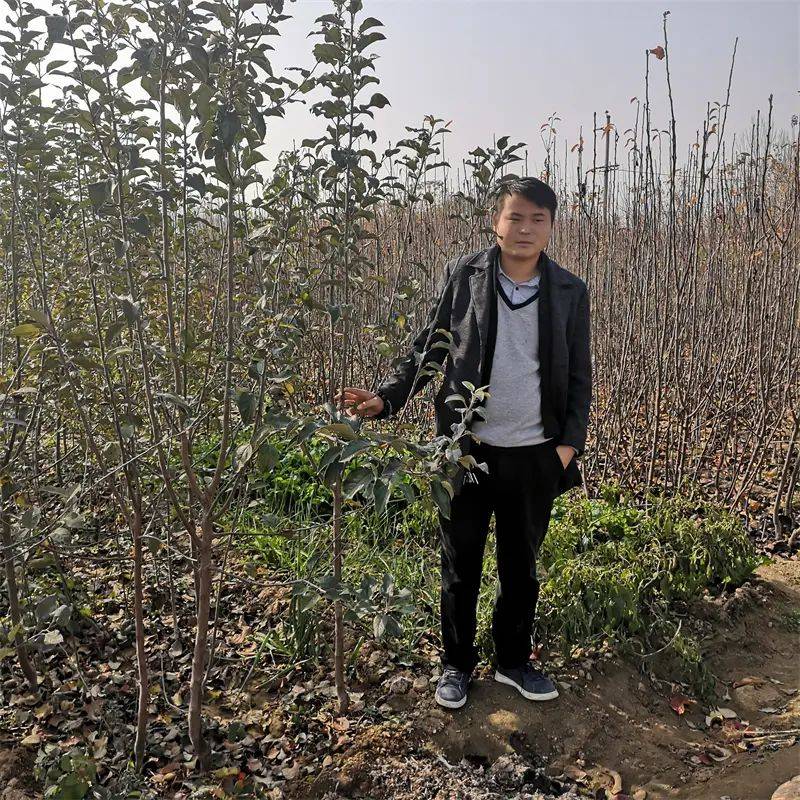 2026 new varieties of fruit trees