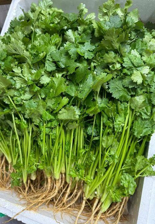 Apprenticeship methods and timing