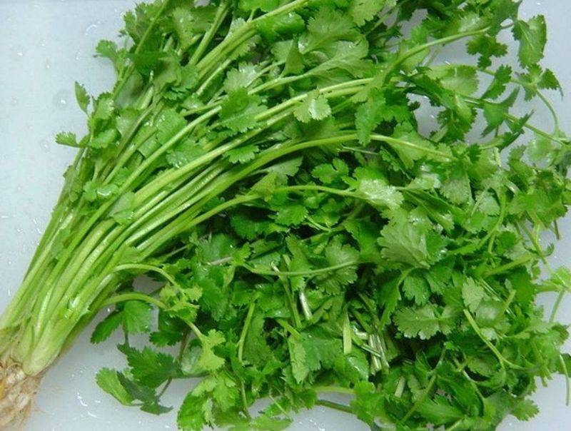 Apprenticeship methods and timing