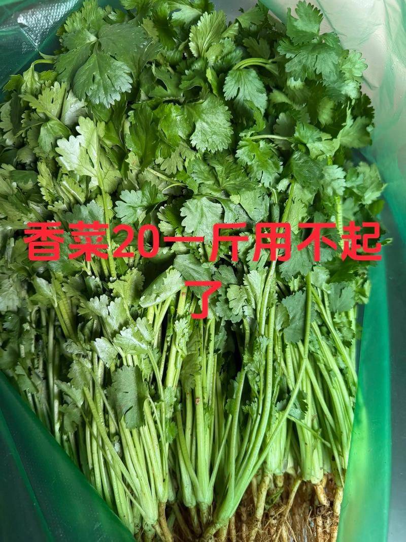 Apprenticeship methods and timing