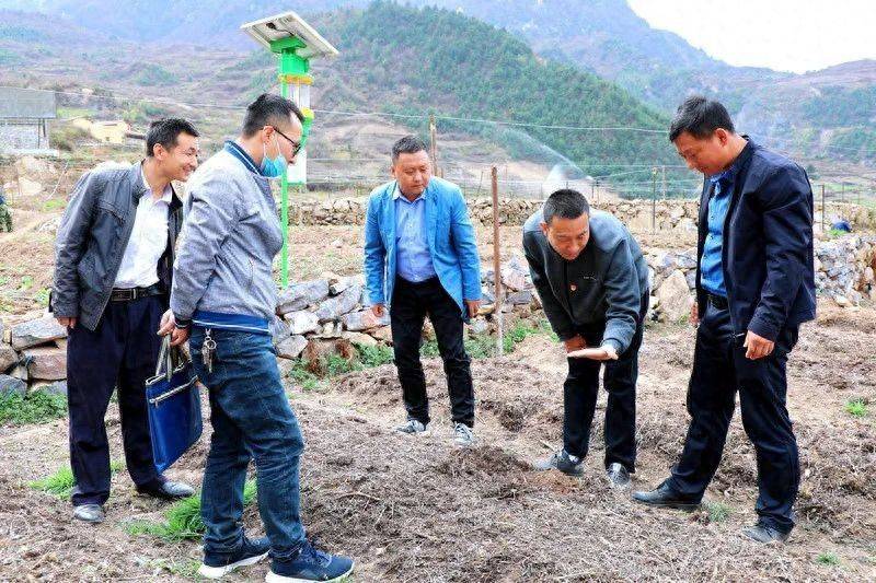 Plantation techniques for heavy buildings