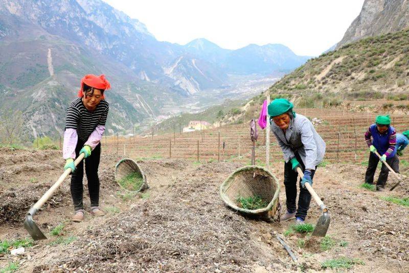 Plantation techniques for heavy buildings
