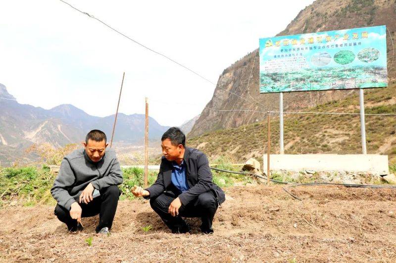 Plantation techniques for heavy buildings