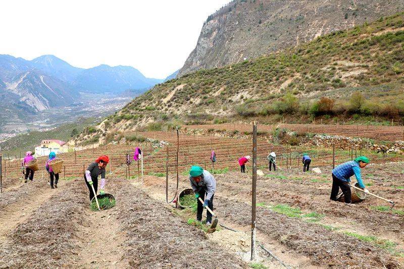Plantation techniques for heavy buildings