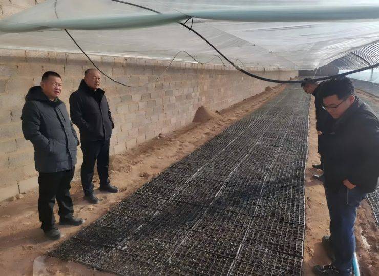 Greenhouse shed planting techniques