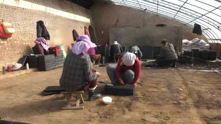 Greenhouse shed planting techniques