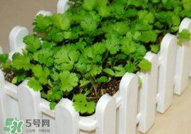 Apprenticeship methods and timing