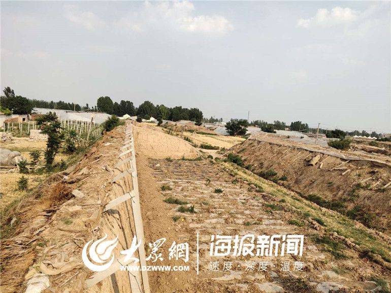 Greenhouse shed planting techniques