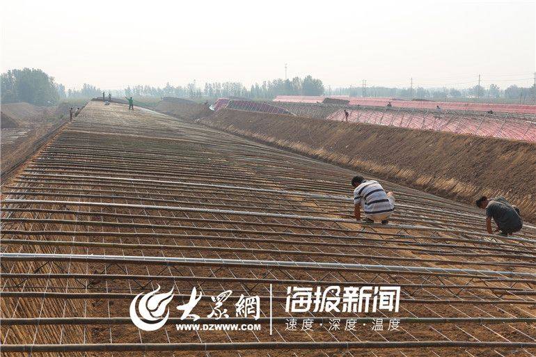 Greenhouse shed planting techniques