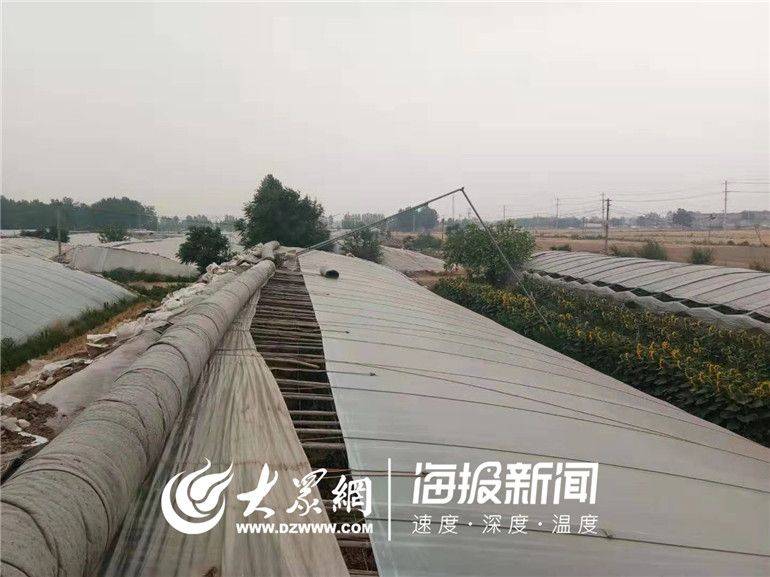 Greenhouse shed planting techniques