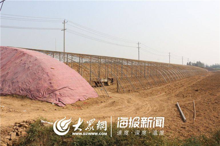 Greenhouse shed planting techniques