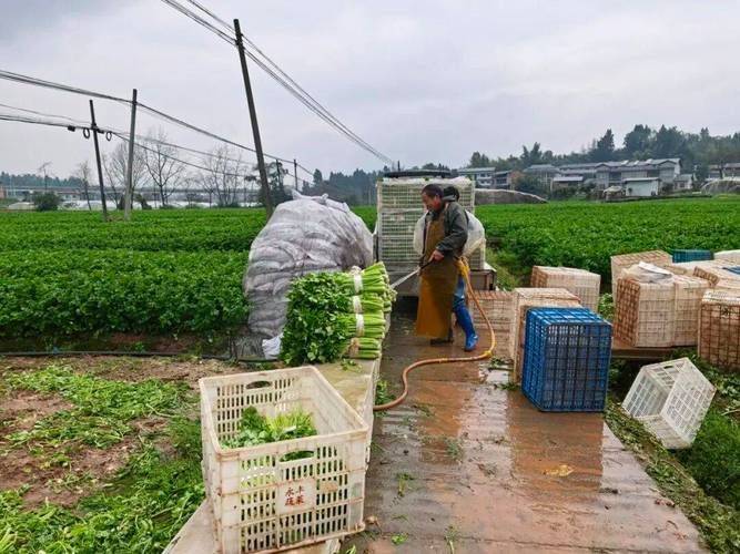 Apprenticeship methods and timing