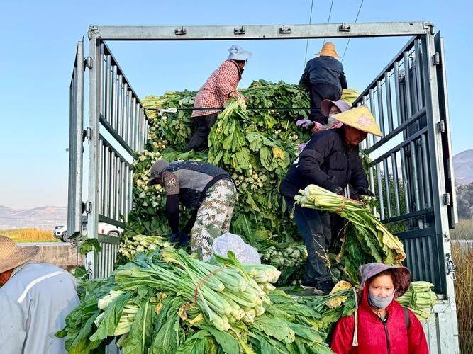 Apprenticeship methods and timing