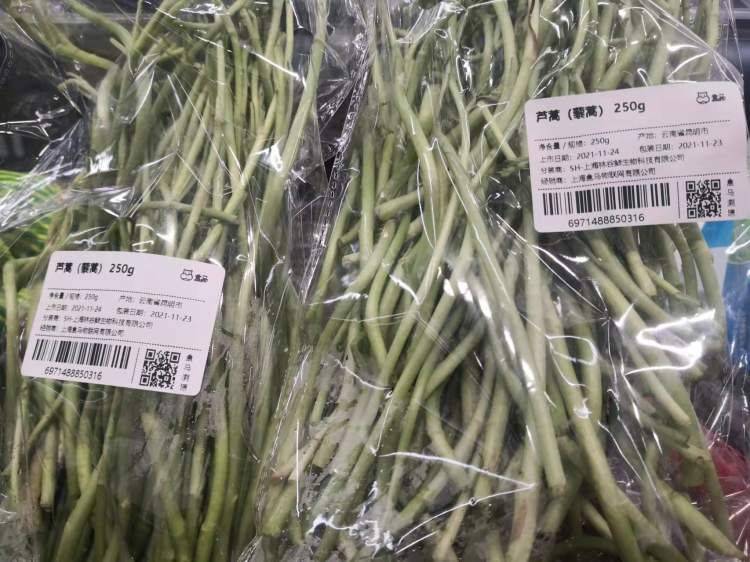 Artemisic planting time and methods