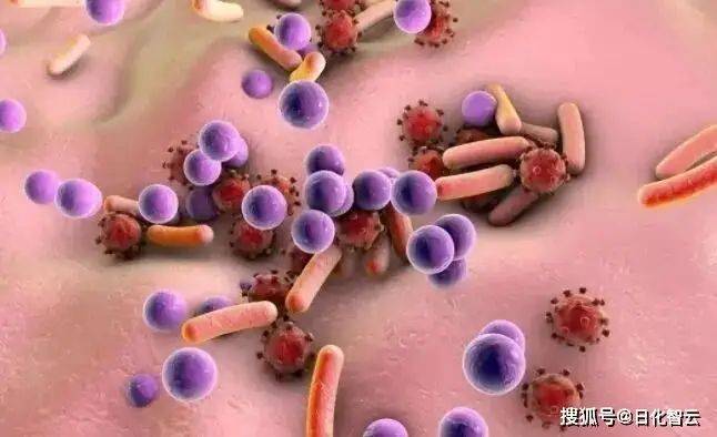 苯氧乙醇防腐机理