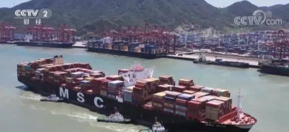 Customs duties on imported skins