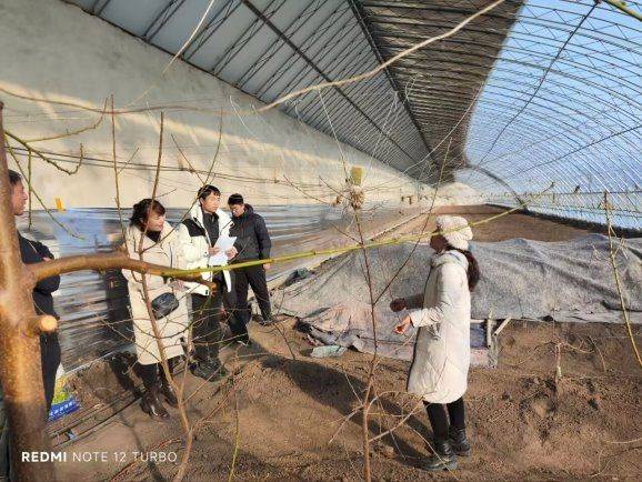 Greenhouse shed planting techniques