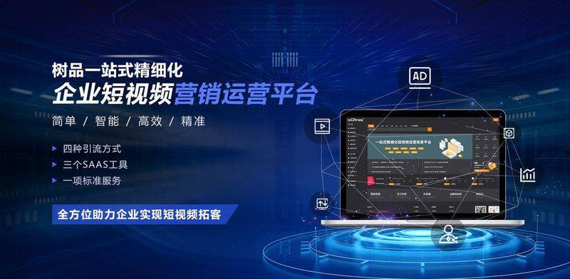 Seo network marketing