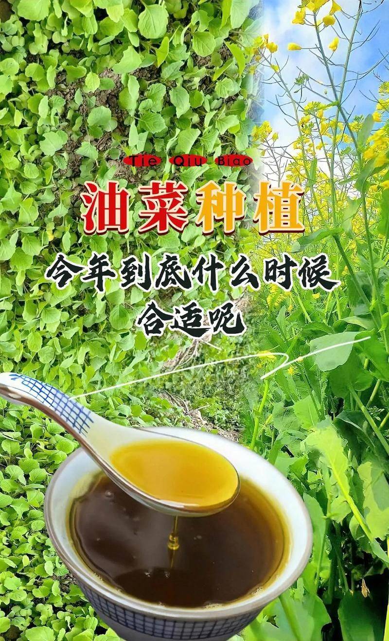 Methods and timing of vegetable cultivation