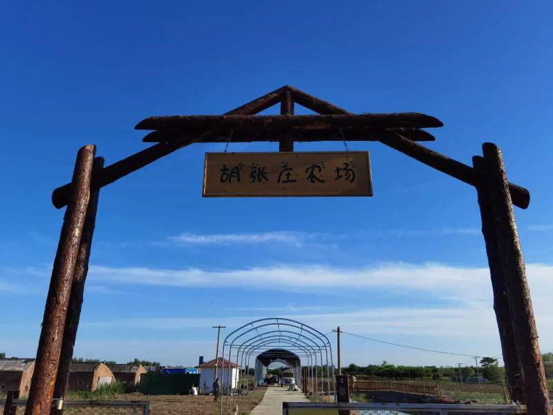 Rose grape cultivation techniques