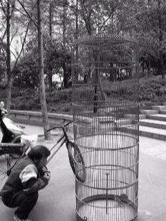 Blingbirds have knowledge