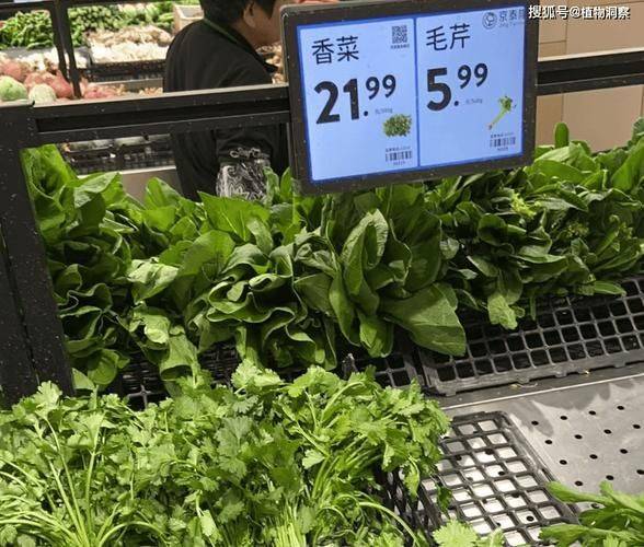 Apprenticeship methods and timing