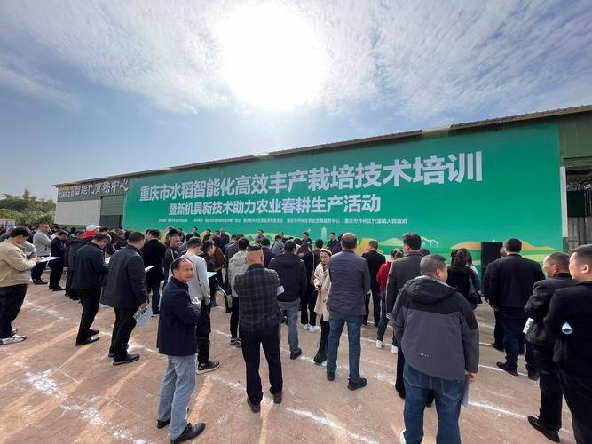 Rice cultivation techniques