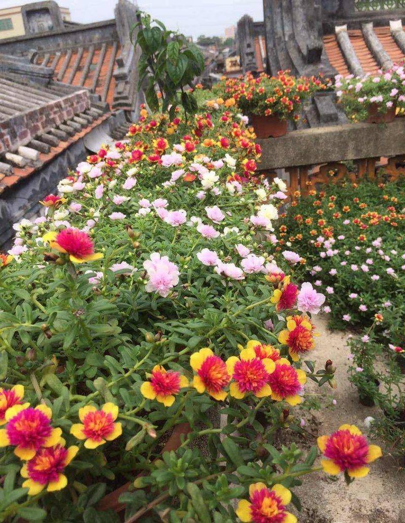 Plantation techniques for heavy buildings