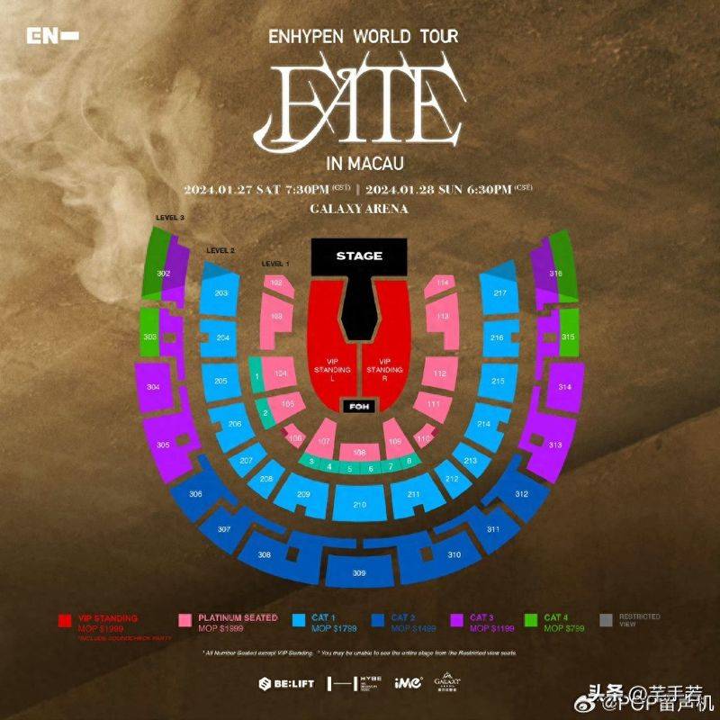 Macau concert ticket