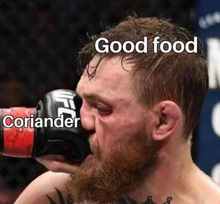 Apprenticeship methods and timing