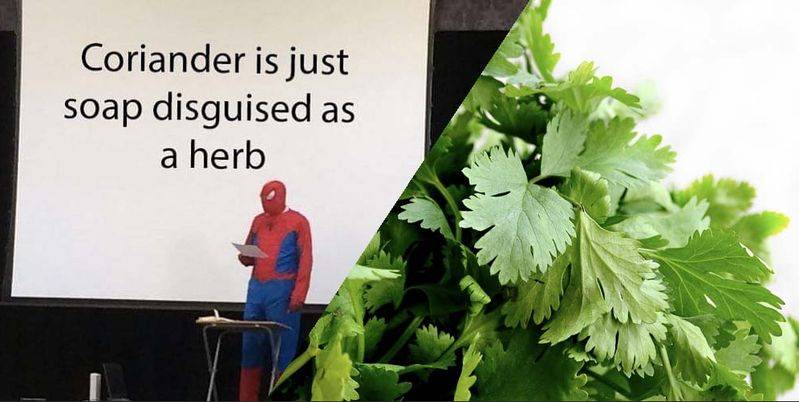 Apprenticeship methods and timing