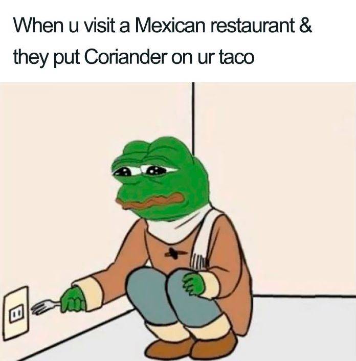 Apprenticeship methods and timing