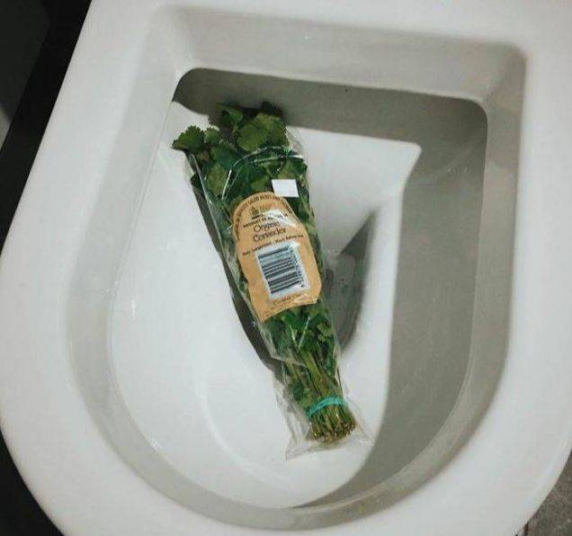 Apprenticeship methods and timing