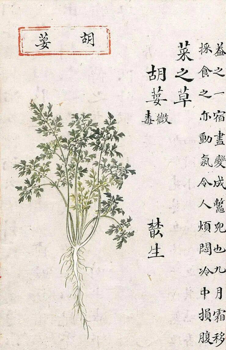 Apprenticeship methods and timing