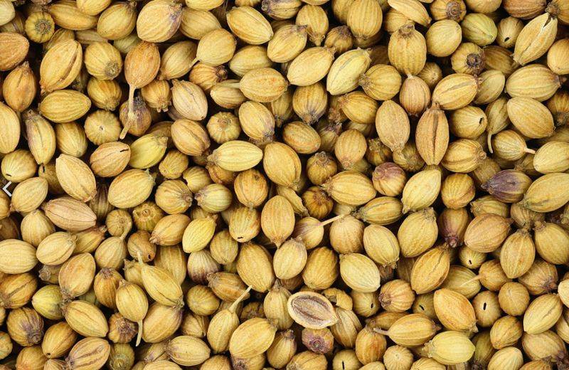 Apprenticeship methods and timing