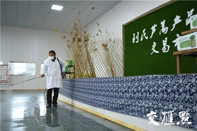 Artemisic planting time and methods