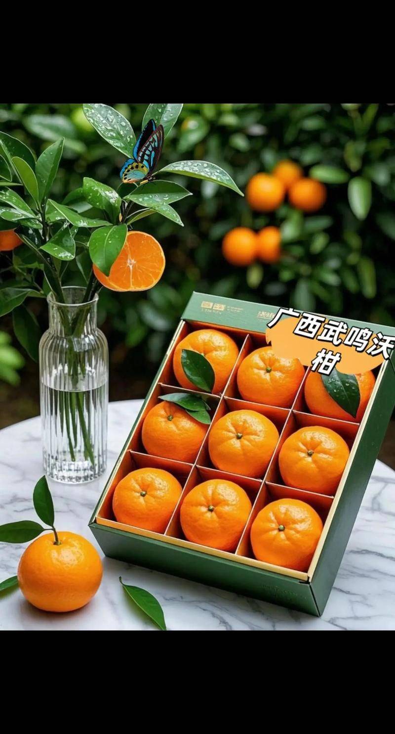 A video course on farming techniques at the worri